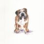 Personalised Pet Portrait Drawing From Your Photos, thumbnail 5 of 7