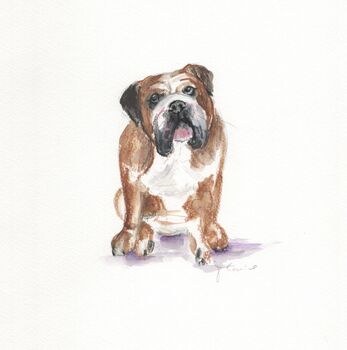 Personalised Pet Portrait Drawing From Your Photos, 5 of 7