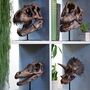 Pterosaur Dinosaur Skull Painted 3D Model Gifts For Him, thumbnail 5 of 5