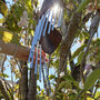 Personalised Wooden Garden Wind Chime, thumbnail 3 of 5