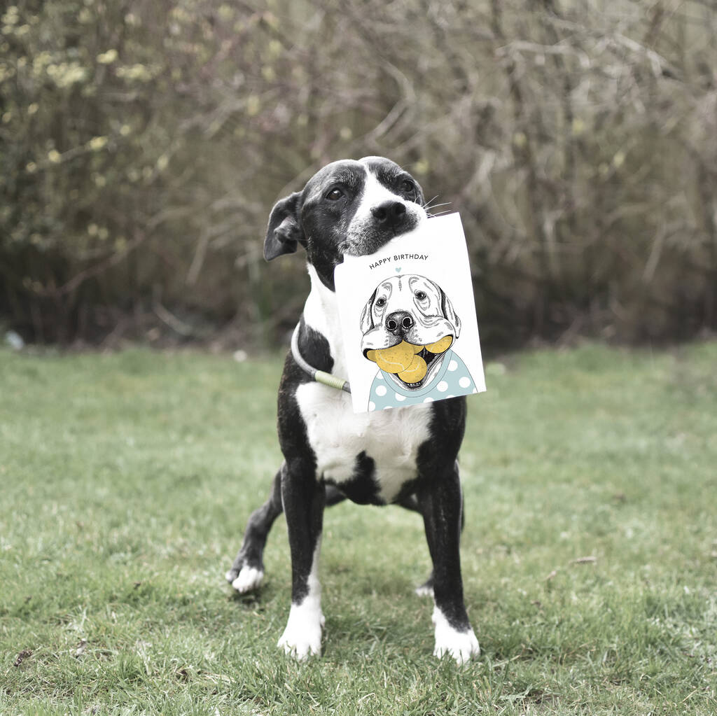 edible dog balls