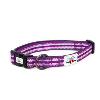 Comfort Collection Padded Dog Collar, 11 of 11