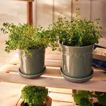 Sage Green Scalloped Edge Garden Pot, 2 of 4