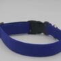 Bright Blue Dog Collar, thumbnail 12 of 12