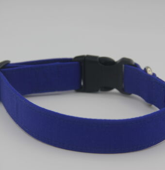 Bright Blue Dog Collar, 12 of 12