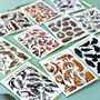 Wildlife Collective Nouns Greetings Card Pack, thumbnail 11 of 11