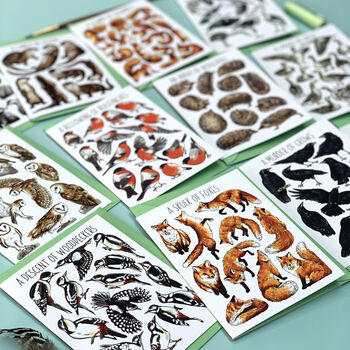 Wildlife Collective Nouns Greetings Card Pack, 11 of 11