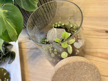 Houseplant Propagation And Terrarium Workshop, Manchester, 5 of 11