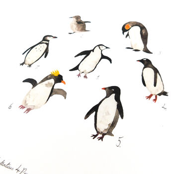 Waddle Of Penguins Art Print, 3 of 8