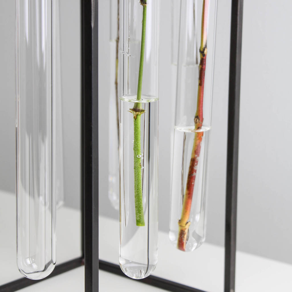 square test tube vase by marquis & dawe | notonthehighstreet.com