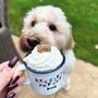 Personalised Puppuccino Cup, thumbnail 1 of 8