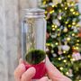 Japanese Marimo Moss Ball Terrarium Christmas Gift, thumbnail 3 of 3