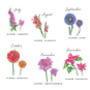 Personalised Family Birth Month Flower Cushion, thumbnail 4 of 7