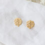 Monstera Leaf Tropical Summer Stud Earrings, thumbnail 3 of 6