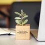 Personalised Micro Plant Pot For Mum, thumbnail 3 of 10