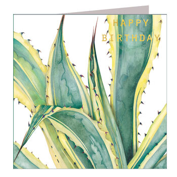 Gold Foiled Agave Birthday Card, 3 of 4