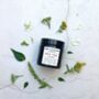'Spice Trail' Aromatherapy Botanical Plant Wax Candle, thumbnail 1 of 4