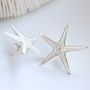 Sterling Silver Starfish Earrings, thumbnail 4 of 6