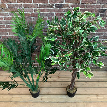 Artificial Palm And Ficus Tree Pair, 4 of 6