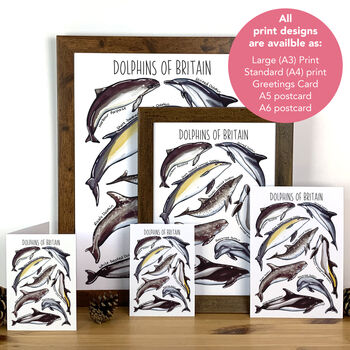 Dolphins Of Britain Wildlife Print, 3 of 9