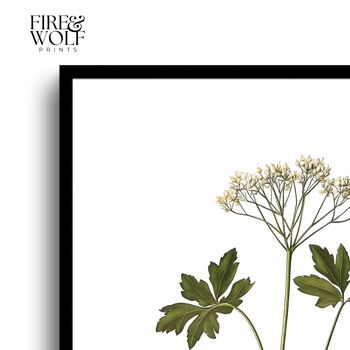 Set Of Six Vintage Botanical Art Prints | A4 Lithograph Style With Latin Names | Wall Art For Home Interiors, 7 of 12