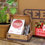Chilli Seeds Starter Pack, thumbnail 1 of 5