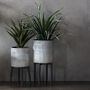 Textured Indoor Planter Two Sizes, thumbnail 1 of 2
