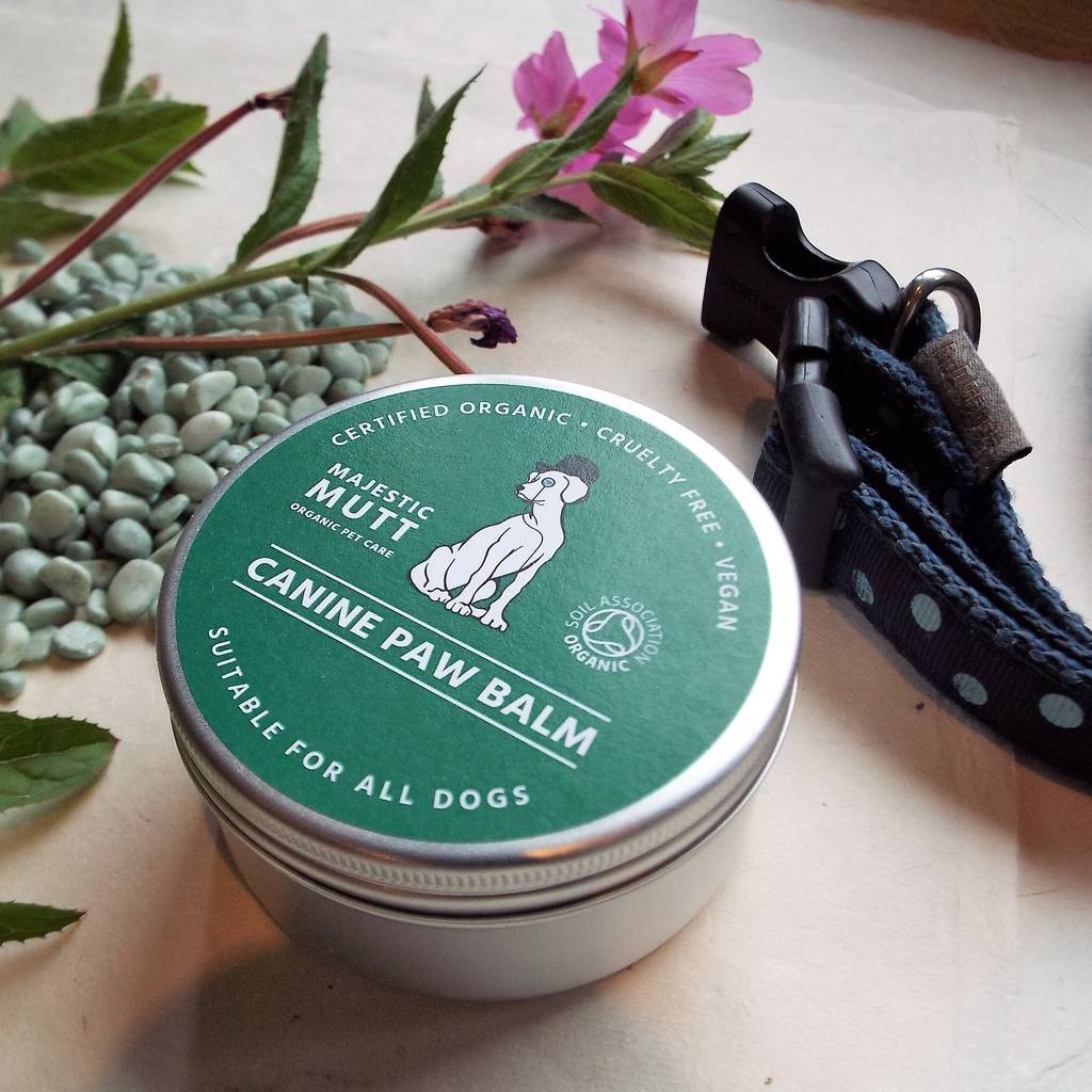Organic Paw And Nose Balm Handmade For Dogs