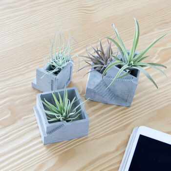 Concrete House Air Plant Holder Collection Set, 5 of 9