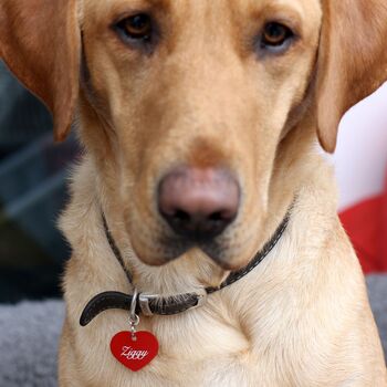 Personalised Heart Or Bone Dog ID Tag, 2 of 3