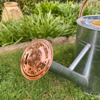 Copper Trim Galvanised Metal Watering Can, 5 of 10