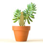 Plant Animal Houseplant Decorations, Multiple Designs, thumbnail 8 of 10