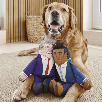 Keir Starmer Parody Dog Toy, 4 of 9