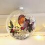 Christmas Robin Sequin Filled Bauble, thumbnail 1 of 4