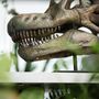 Brachiosaurus 3D Dinosaur Skull Model Replica, thumbnail 3 of 5