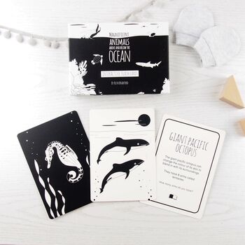 Black And White Sensory Book And Flash Card Gift Set, 7 of 9