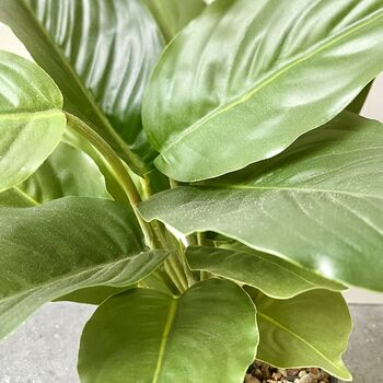 Artificial Fishbone Plant In Pot, 3 of 4