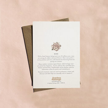 Pink Rose Hand Painted Floral Card, 2 of 2