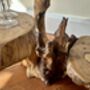 Varnished Teak Root Wooden Plant Multi Level Stand, thumbnail 5 of 12
