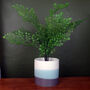 Blue Grey Stripe Ceramic Planter Plant Pot, thumbnail 1 of 2