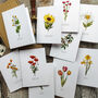 Set Of 10 Different Wildflower Notecards And Envelopes, thumbnail 1 of 7