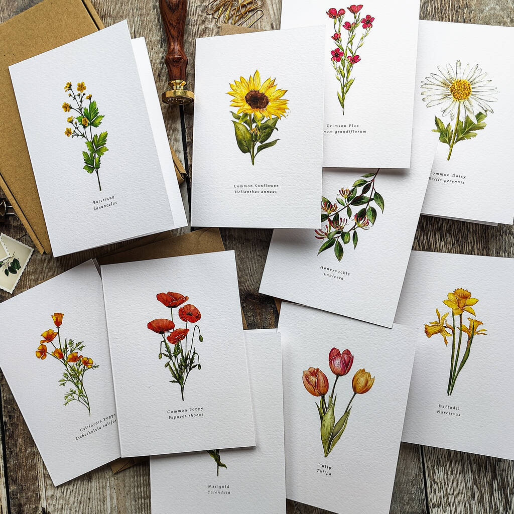 Set Of 10 Different Wildflower Notecards And Envelopes, 1 of 7