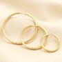 Stainless Steel Hoop Earrings, thumbnail 1 of 12