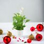 Peace Lily In 12cm Festive Christmas Tree Pot, thumbnail 1 of 2