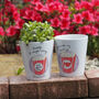 Popcorn Plant Pot With Seeds For Mum Or Dad, thumbnail 1 of 3