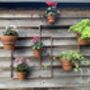 Copper Plant Pot Wall Frame, thumbnail 7 of 7
