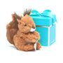 Personalised Squirrel Soft Plush Toy, Nuts About You, thumbnail 1 of 4