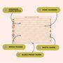 2027 Wall Planner | Landscape | Boho Arches, thumbnail 2 of 4