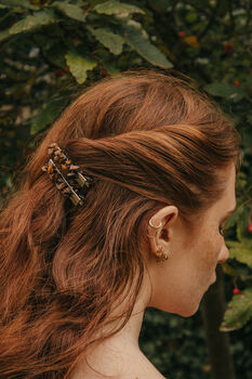 Tiger's Eye Crystal Hair Clip Set Of Two, 2 of 5