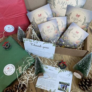 Welsh Wildflower Seed Christmas Gift Box Hamper, 5 of 6